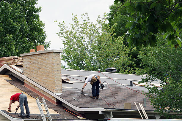 Best Roof Gutter Cleaning  in Sanger, TX